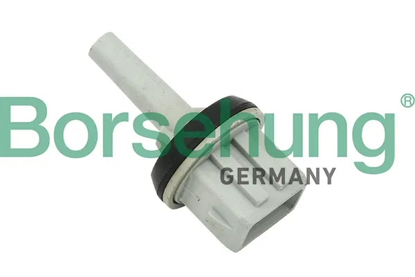 Sensor de temperatura de ar no salão B11449 Borsehung