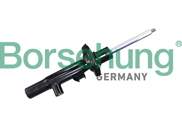 B11178 Borsehung
