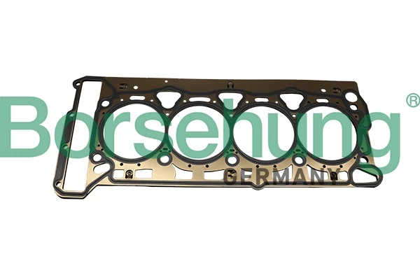 B19126 Borsehung