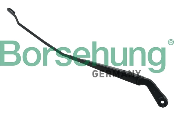 B11463 Borsehung