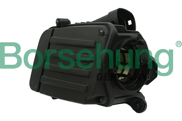 B12845 Borsehung