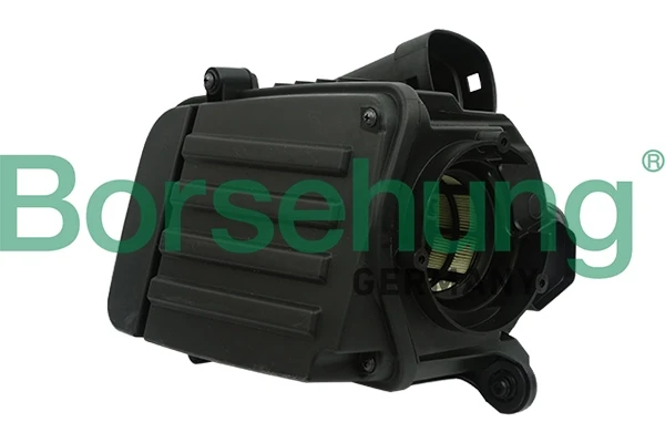 B12845 Borsehung