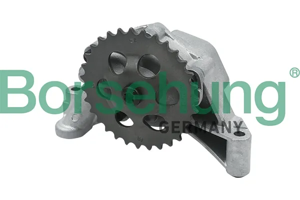 Bomba de óleo B12689 Borsehung