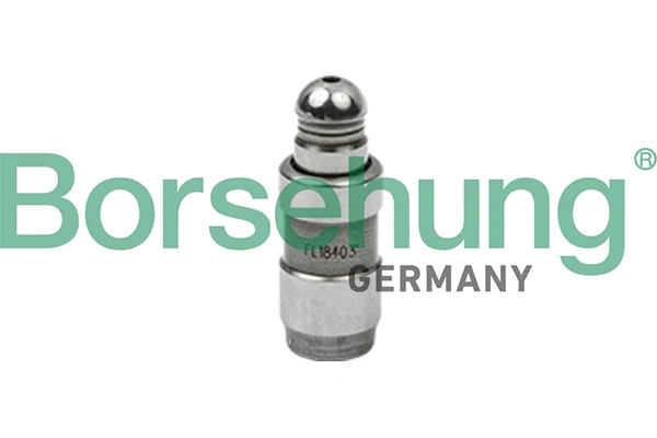 B18827 Borsehung