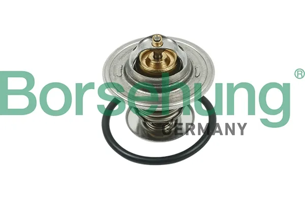 Termostato B13141 Borsehung