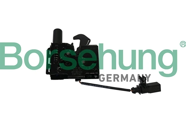 B10261 Borsehung