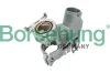 B17981 Borsehung