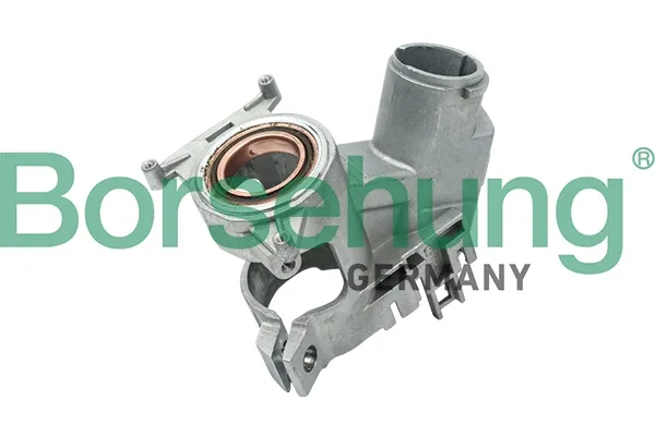 Fecho de ignição B17981 Borsehung