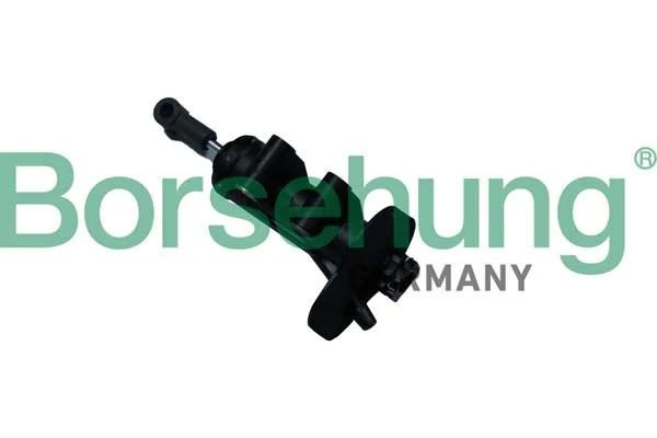 B18711 Borsehung