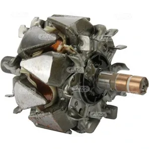 Induzido (rotor) do gerador Volkswagen Polo III