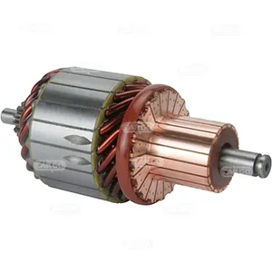 Induzido (rotor) do motor de arranco 335081 Cargo