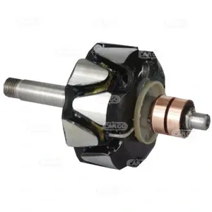 Induzido (rotor) do gerador 134710 Cargo