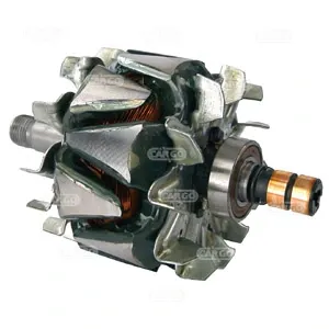 Induzido (rotor) do gerador Iveco Daily III