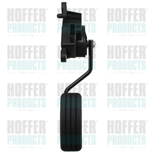 Pedal de gás (de acelerador) para Renault Scenic (JM)