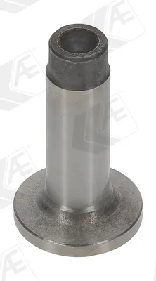 WG1172117 Wilmink Group