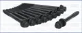 WG1009654 Wilmink Group
