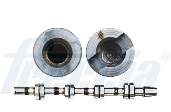 WG1155393 Wilmink Group