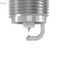 WG1461518 Wilmink Group