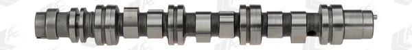 WG1462604 Wilmink Group árvore distribuidora de motor