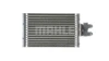 WG2181255 Wilmink Group
