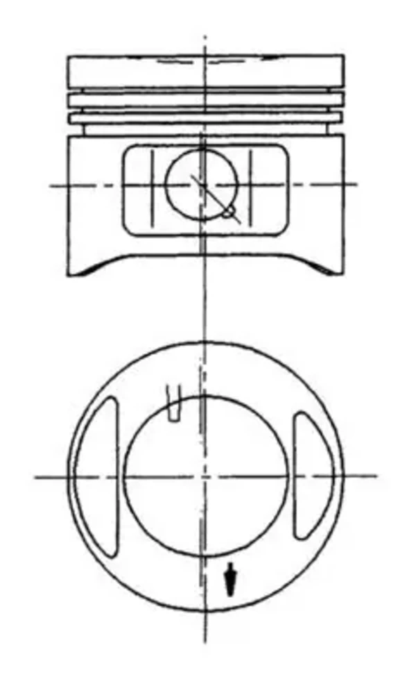 Pistão do kit para 1 cilindro, STD WG1023405 Wilmink Group
