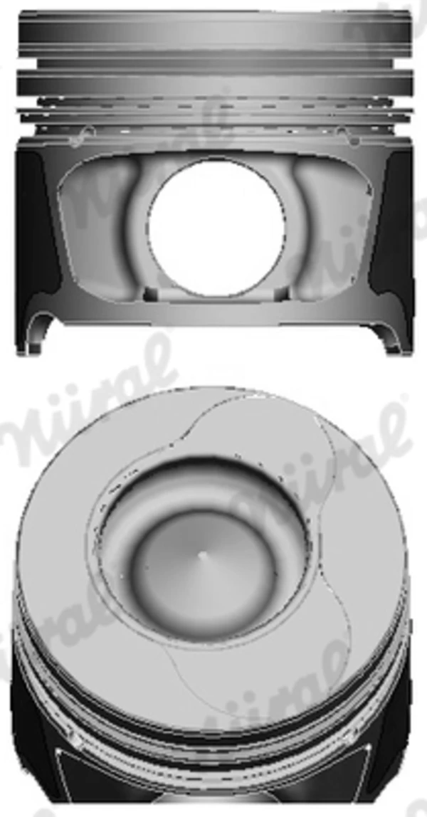Pistão do kit para 1 cilindro, STD para Renault Megane (DZ0)