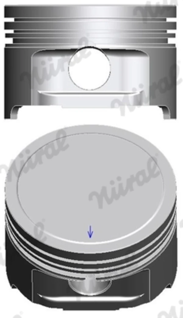 Pistão do kit para 1 cilindro, STD para Peugeot Bipper (225L)