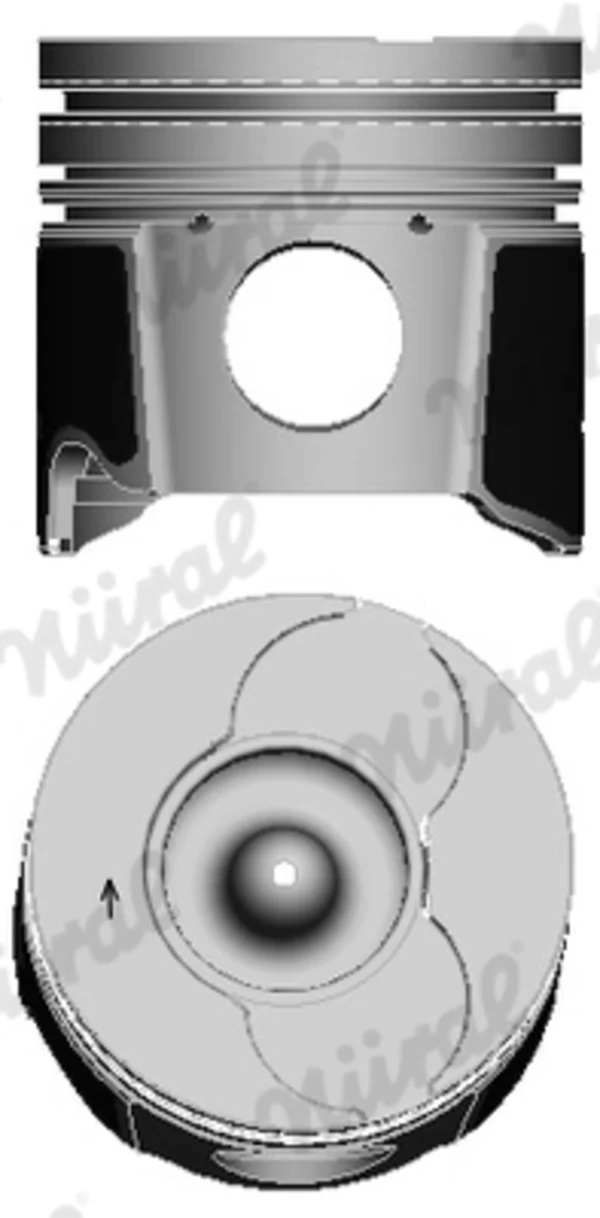 WG1094007 Wilmink Group