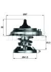 WG1262731 Wilmink Group