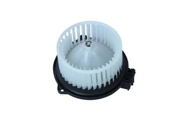 Motor de ventilador de forno (de aquecedor de salão) WG2160460 Wilmink Group