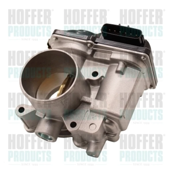 Válvula de borboleta montada para Nissan Pathfinder (R51M)