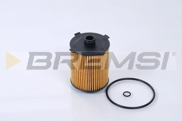 FL0290 Bremsi