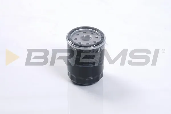 FL1307 Bremsi