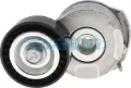 APV3753 Dayco