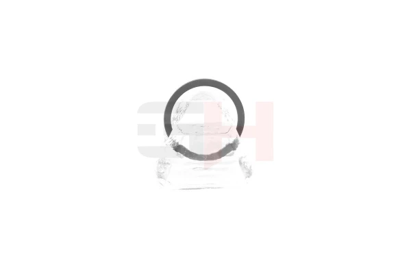 Anel de ABS GH493985 GH