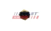FT80161 Fast