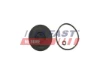 FT38098 Fast