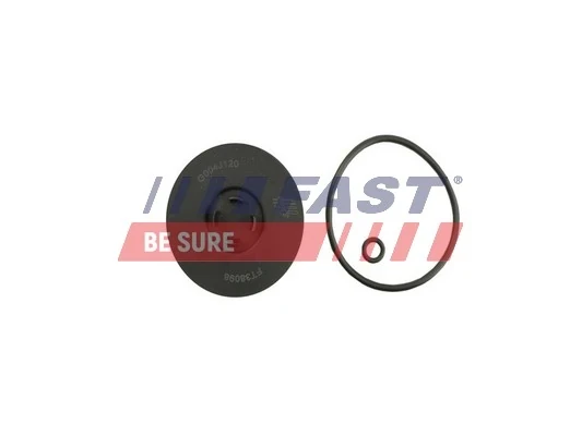 FT38098 Fast