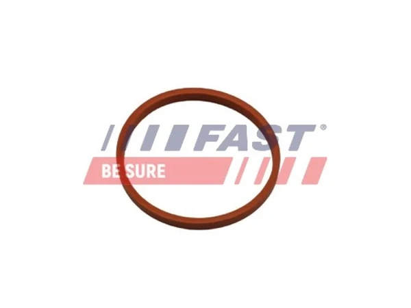 FT48932 Fast anel de vedação (vedante de cano derivado de intercooler)