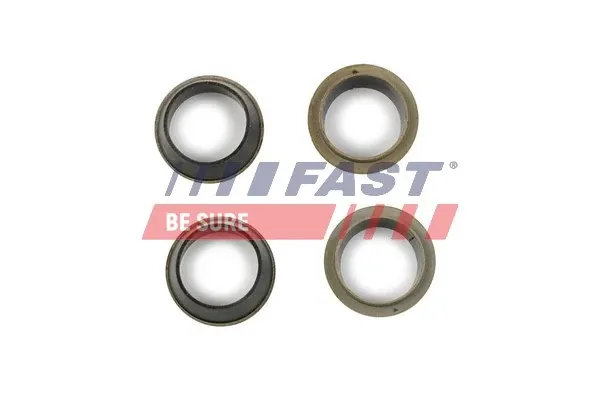 Kit de reparação do injetor FT49843 Fast