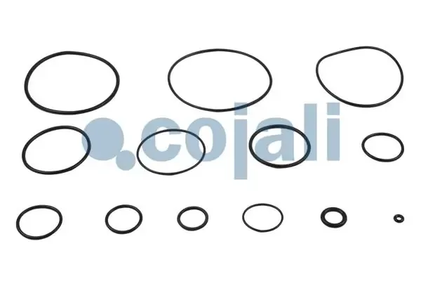 6012152 Cojali