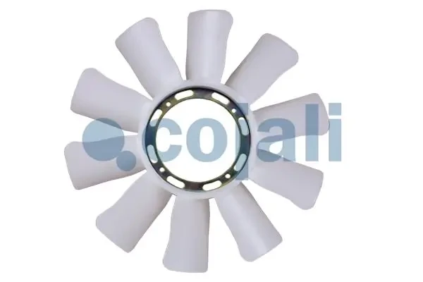 8125613 Cojali