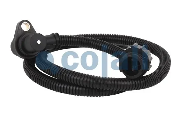 2260211 Cojali