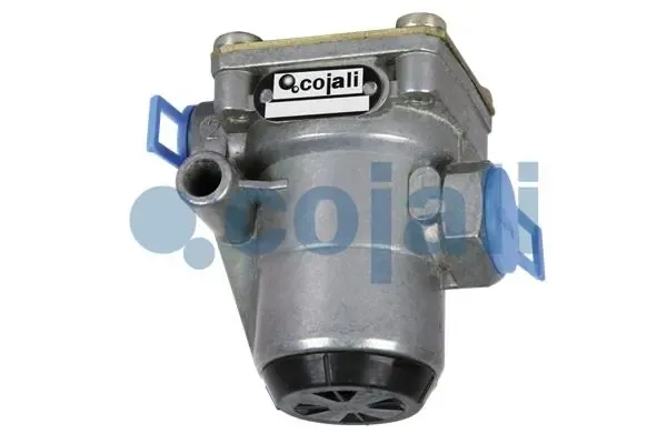  2223222 Cojali