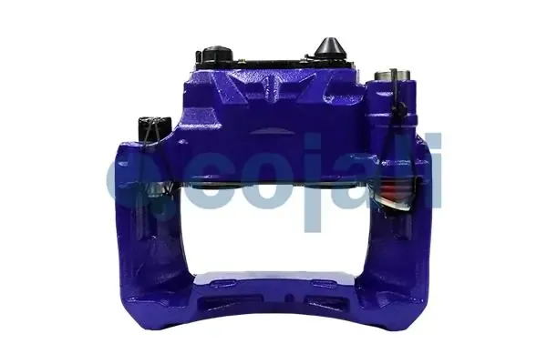  359005 Cojali