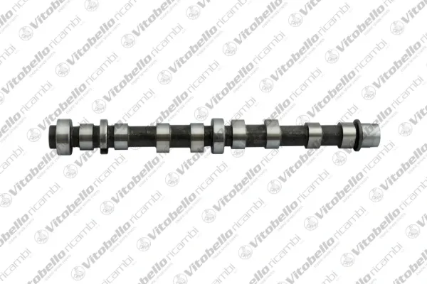Árvore distribuidora de motor 1002059N Vitobello Ricambi