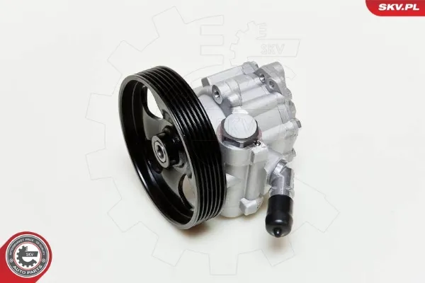 10SKV060 SKV