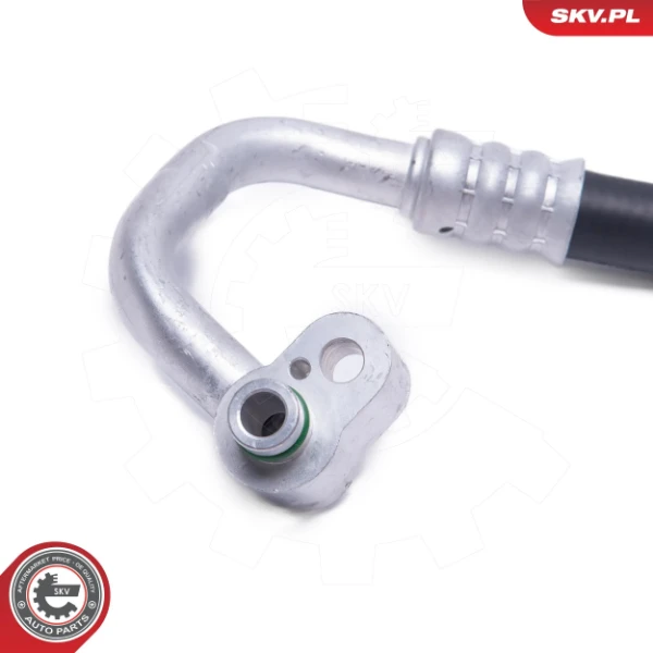 43SKV551 SKV