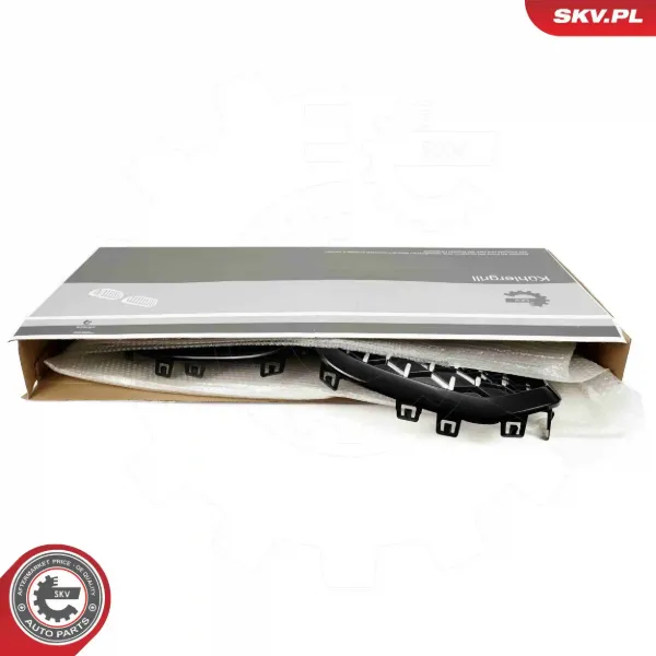 Grelha do radiador 511318517811 BMW
