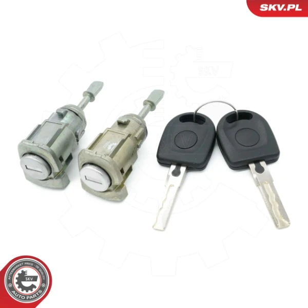 65SKV818 SKV